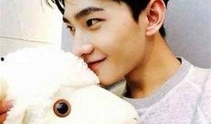 杨洋最新 爆料事件视频,揭秘背后真相